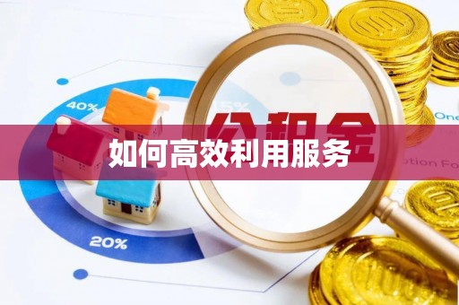 林西如何高效利用服务