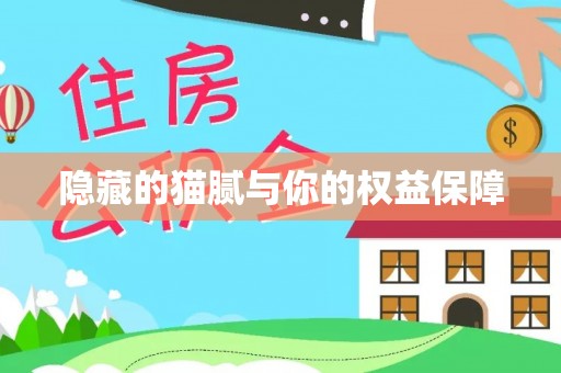 林西隐藏的猫腻与你的权益保障