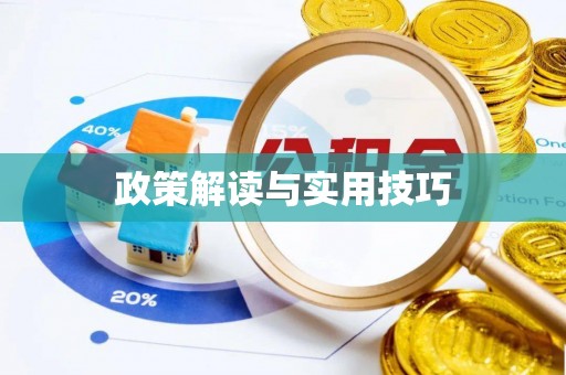 林西政策解读与实用技巧