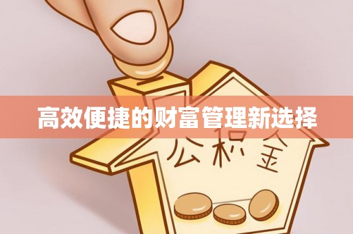 林西高效便捷的财富管理新选择