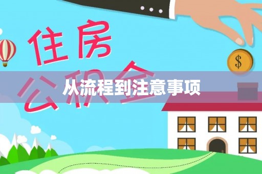 林西从流程到注意事项