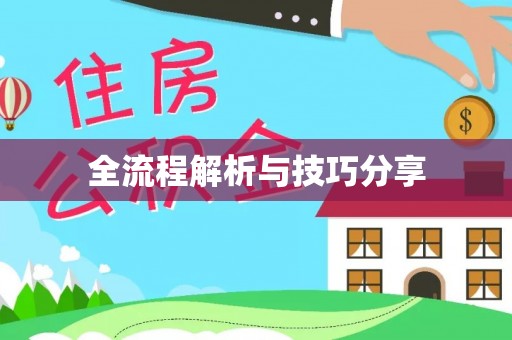 林西全流程解析与技巧分享