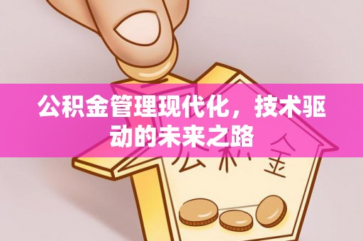 林西公积金管理现代化，技术驱动的未来之路