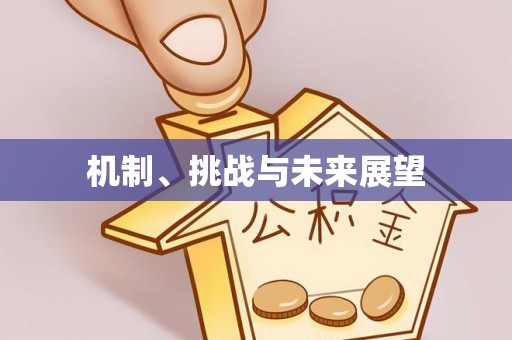 林西机制、挑战与未来展望